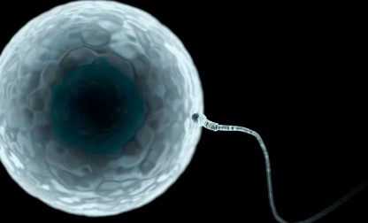 大连失独代孕-公证翻译费