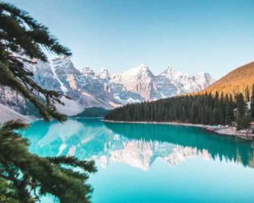 美国移民局是做什么的{奥巴马政府的就业理事会建议放宽美国签证规定}