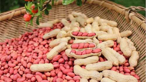 重庆试管代生产子费用 重庆西南医院的三代试管成功率高吗? ‘胎儿股骨长57