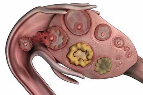 嘉兴哪里有供卵群 2024嘉兴妇保院试管婴儿成功率一览 ‘怀孕初期b超看男女准