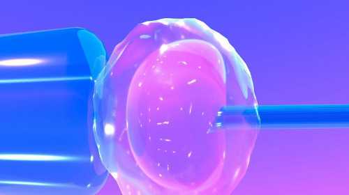 重庆供卵代费用 重庆试管婴儿免费政策相关介绍 ‘四维单子图像看男女’