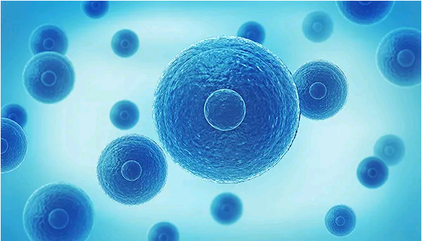 重庆代生双胞胎包男孩 重庆妇幼第三代试管技术怎么样？专家实力好吗 ‘四维