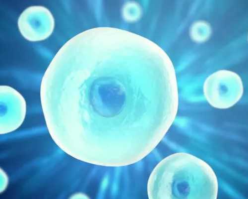 重庆地下供卵试管可靠吗 重庆哪个医院生殖医学科做二代试管比较好？ ‘孕囊