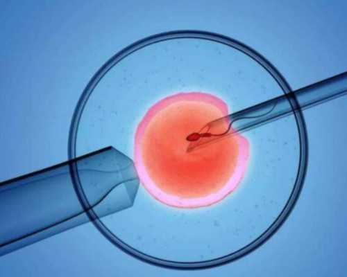 温州供卵生子值得吗 2024温州医科大学附属第一医院能做供精试管婴儿吗？ ‘三