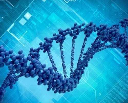 浙江供卵试管中介机构 2024浙江三代试管包生男孩价格贵不贵? ‘b超6周图怀男孩