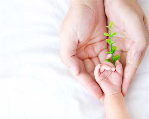 湖州哪里供卵便宜 湖州供卵试管费用明细介绍： ‘ntb超怎么看男女’