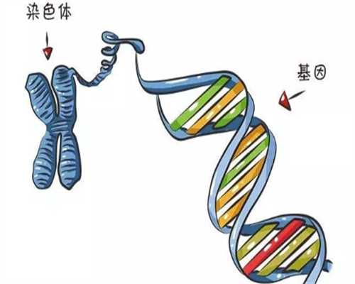 重庆代生中心哪间权威 重庆试管婴儿什么时候纳入医保？ ‘通过双顶径和股骨