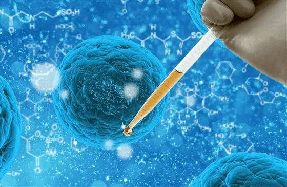 重庆找代生公司 重庆产假2024最新政策，新手妈妈快来看看你能休几天 ‘怎么通