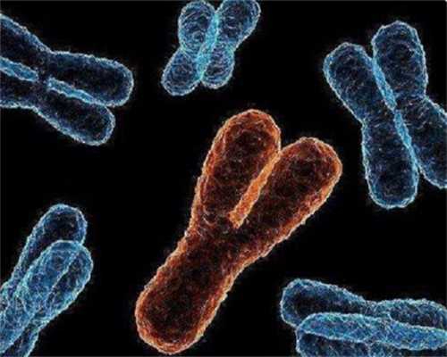 重庆供卵代生孩子哪家好 影响重庆试管婴儿成功率的因素 ‘nt图值看男女’