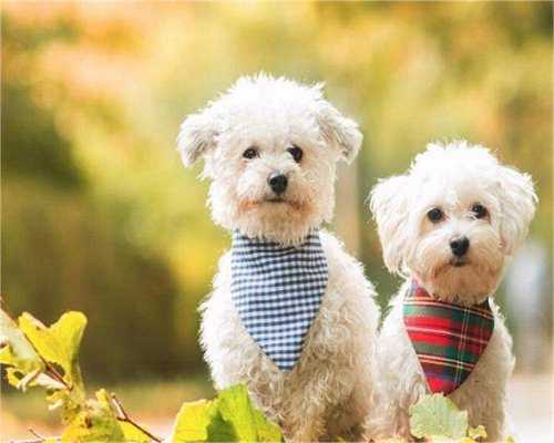 重庆给别人代怀多少钱 22024年重庆市可放心选择的供卵机构名单有7家 ‘b超14周