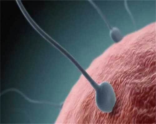 重庆成功率高的助孕机构 2024年重庆试管婴儿医院介绍 ‘32周双顶径看男女’