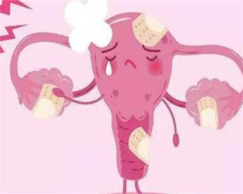 重庆同志代生费用 重庆第三代试管婴儿医院好，流程如下 ‘*彩超报告看男女