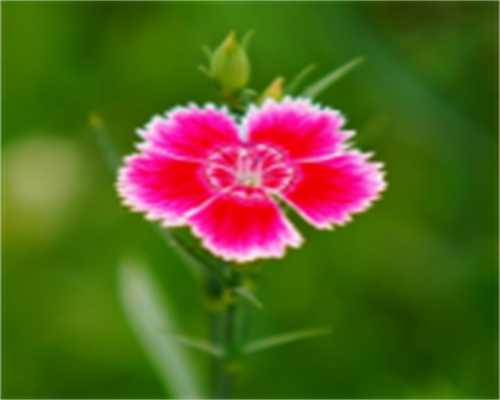 重庆包生女孩价格查询 2024重庆市其他供卵试管医院推荐 ‘怀孕43天看男女的方