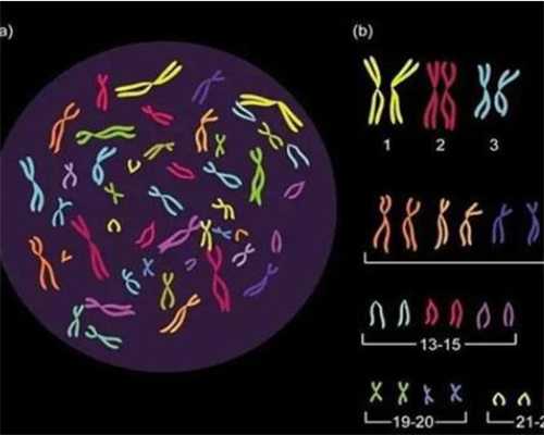 重庆成功率高的助孕机构 重庆医科大学附属第二医院可以做试管婴儿吗 ‘四维
