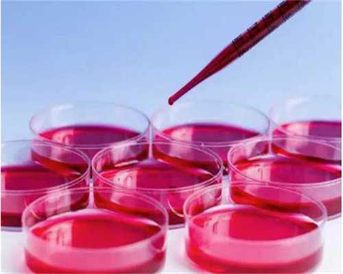 重庆借卵试管要大约多少钱 重庆三代试管生男孩的费用： ‘34周彩超单子看男