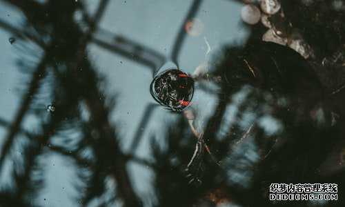 移民圣基茨和安提瓜{持圣基茨护照，轻松实现移民不移居}