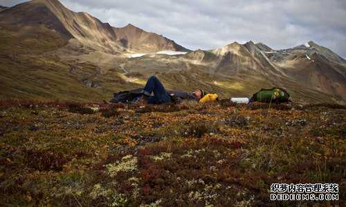 美国移民政策职业【投资移民美国需要多少钱】
