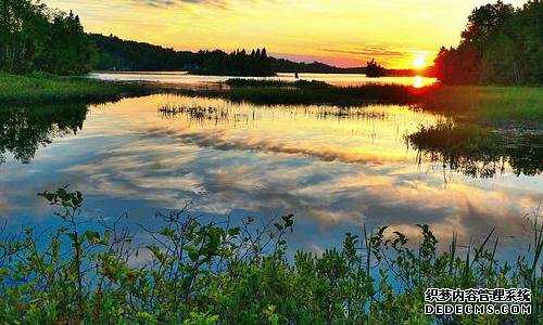 加拿大新移民 医疗卡【仅14个月喜获体检通知——加拿大联邦自雇成功案例分享