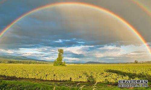 欧洲置业移民申请{欧洲议会敦促欧盟在2025年之前关闭黄金护照计划！}