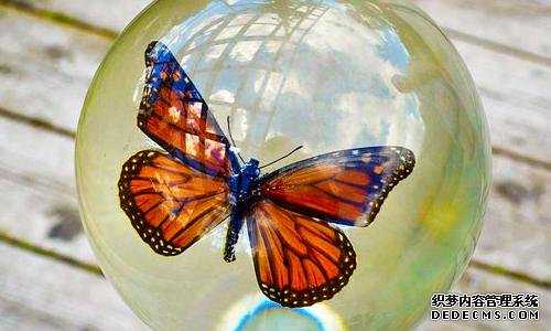 新西兰移民 同居移民【新西兰留学移民成功案例：从家人不支持到全家其乐融