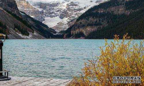 欧洲 生孩子 移民{欧洲移民优势：从子女教育到税务规划}