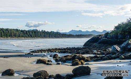 新加坡每年移民多少马来人（什么是新加坡EP签证，如何办理？）