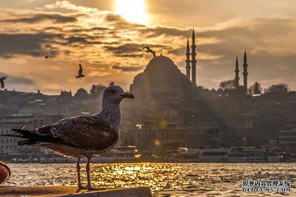 美国投资移民本金多久返还{美国收紧加拿大移民持续宽松！华人移民加拿大更