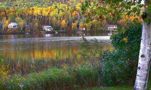 美国移民入境护照盖章{移民美国生活前必了解的中美文化差异有哪些？}