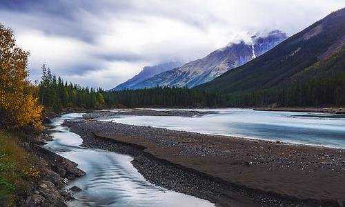 加拿大移民签证需要去香港吗{美大选当日“移民加拿大”搜索量暴增7倍！加拿