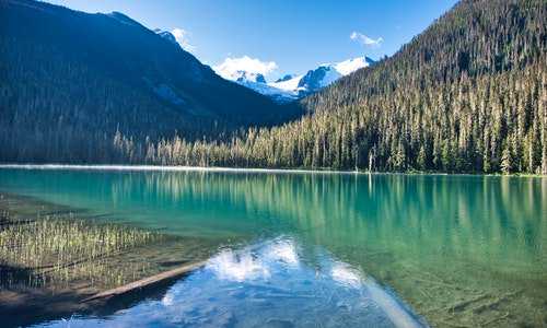 bc省提名移民厨师{加拿大BC省雇主担保移民TechPilot科技试点类别成为永久项目！