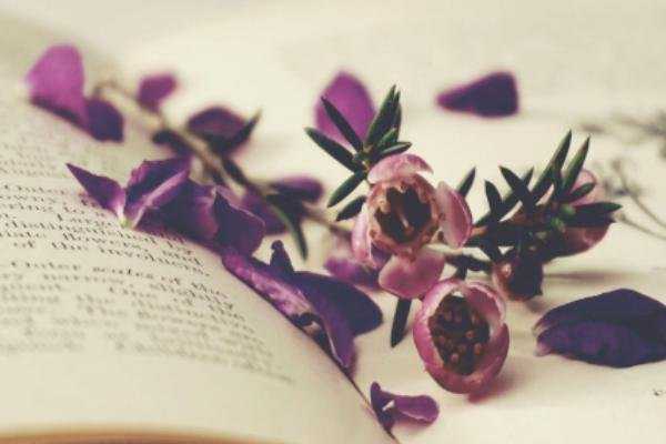 不移民去加拿大开公司{成功移民加拿大后可以选择任意省份定居吗？}