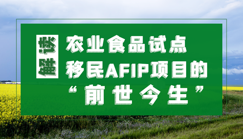 仅需十万移民加拿大{港媒称加拿大新移民政策遭中国富豪冷落}