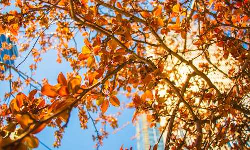 魁北克技术移民系统{加拿大魁北克省5月将开放投资移民申请！}