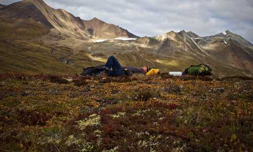 魁北克移民 联邦阶段{魁北克快速经验类移民丨《麻辣婶聊移民》专栏}