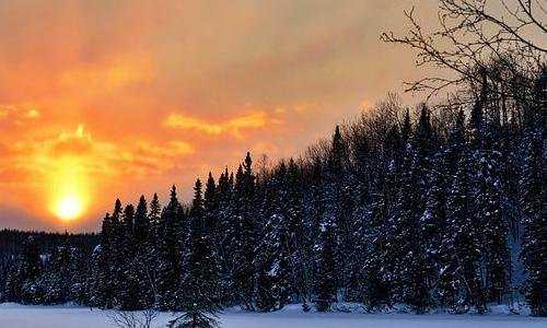 移民加拿大被骗（中国移民改变加拿大爱德华王子岛风貌）