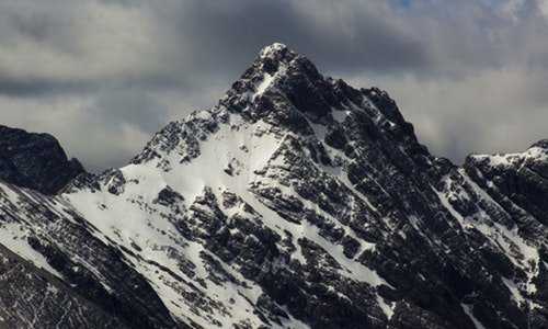 加拿大移民家庭主妇（加拿大＂一刀切＂裁决出炉！不违宪，移民申诉难翻盘）