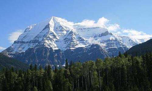 加拿大经济类移民标准【加拿大统计局：私立中小学的学生之为什么日后更容易