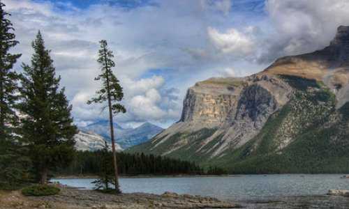 移民加拿大后悔吗【加拿大新移民报税的优势】