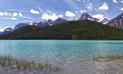 加拿大工作签证移民{投资移民走不通怎么办？加拿大海洋四省移民了解一下！