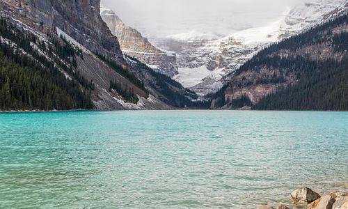 加拿大子女团聚移民条件（普通人怎么移民加拿大？英语普通、学历普通如何移