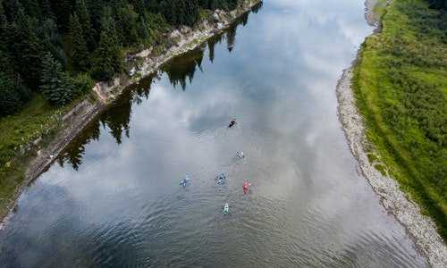 加拿大 中医 移民【一个加拿大移民的看法：中国人比白人差在那里】