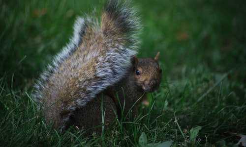 加拿大移民探亲签证【在加拿大买了房子能申请移民吗？】